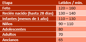 Procedimiento para controlar el pulso - Signos vitales | Primeros Auxilios  | Educa.com.bo