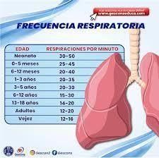 Gescons - 🫁 La frecuencia respiratoria es el nmero de respiraciones que  realiza un ser vivo en un periodo especfico (suele expresarse en  respiraciones por minuto). Movimiento rtmico entre inspiracin y  espiracin,