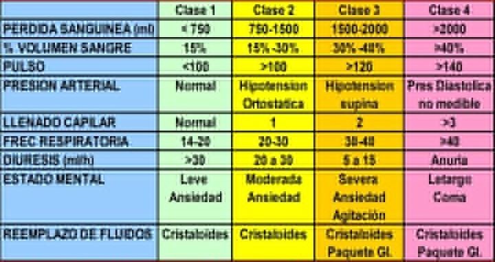 SHOCK HIPOVOLEMICO HEMORRAGICO DE ORIGEN OBSTETRICO Lquido Extracelular